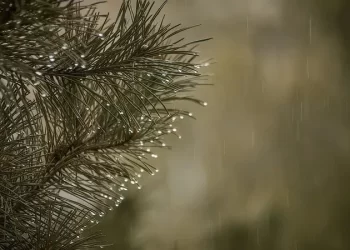 حالة من عدم الاستقرار الجوي تؤثر على الاردن