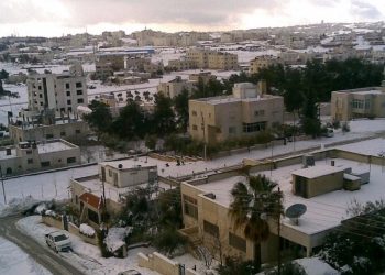 مواطنون في منطقة حي نزال يشتكون من أصوات المناداة للبيع