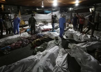 جثث مكدسة في مستشفى الشفاء لا تجد من يدفنها