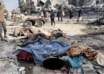 انسحاب للاحتلال من منطقة شمال غزة يكشف الفظائع.. جثث متناثرة (صور)