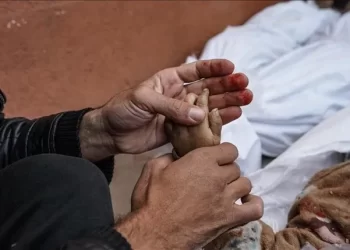 الاحتلال يرتكب مجازر مروعة في المغازي والنصيرات ورفح