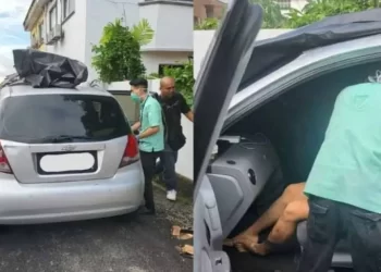 حققت أمنيته وقابلته.. معجب يقتل مغنية طعناً في سيارتها