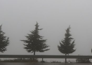 طقس الاردن .. أجواء باردة في اغلب المناطق وتساقط للأمطار