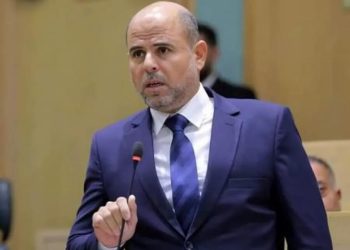 النائب العكور.. المنظمات احتلال ناعم، والمنح أدوات التبعية