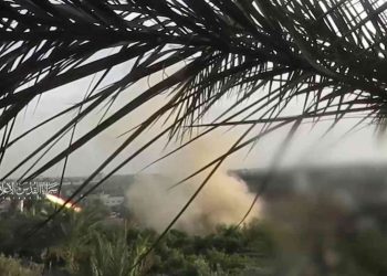 قراءة القرآن وقلاية بندورة ورباط في أرض الميدان (شاهد)