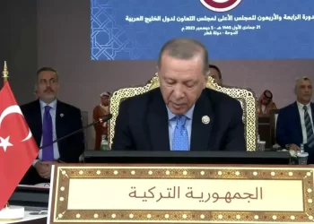 أردوغان .. نتنياهو يدفع المنطقة برمتها إلى الخطر من أجل مستقبله السياسي