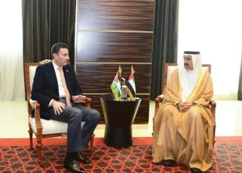 الصفدي يؤكد ضرورة توحيد الجهود لوقف الحرب على غزة