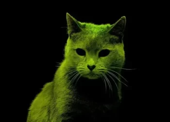 قطط نووية تثير الفزع في بريطانيا