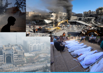 غزة تواجه الإبادة الجماعية .. غزة تستغيث