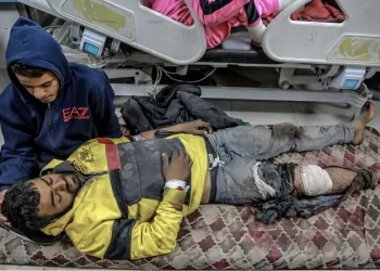 اليوم الـ 168 للعدوان.. استمرار مجازر الاحتلال ضد ابناء غزة