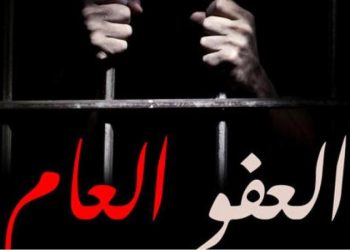 صوت البلد   تنفرد بنشر نص مشروع قانون العفو العام لعام 2024