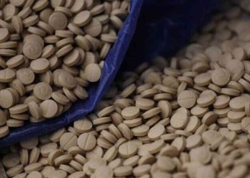 إحباط تهريب 237 ألف حبة كبتاغون في معبر جابر