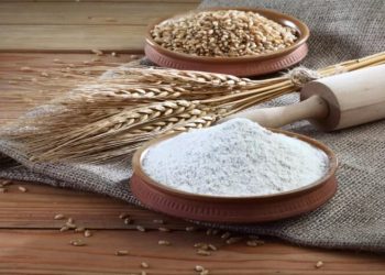 الحكومة تخفيض أسعار القمح والطحين لشهر آذار الحالي