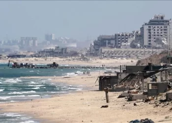 ميناء غزة الأمريكي.. “رصيف احتلالي” عماده أشلاء الفلسطينيين