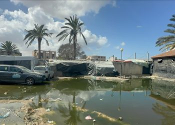 شمال غزة.. طفح الصرف الصحي يكمل مآسي الحرب والمجاعة (تقرير)