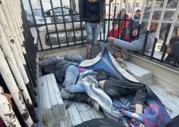 37 شهيدا إثر 4 مجازر في غزة خلال ساعات.. وحصيلة العدوان ترتفع