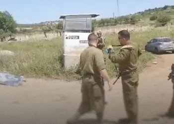 استشهاد فتاة فلسطينية بزعم محاولتها تنفيذ عملية طعن شمال الخليل