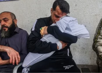 شهداء بمجازر جديدة للاحتلال في غزة.. وغارات على رفح وخانيونس