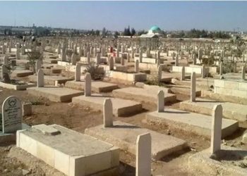 بلدية اربد تحقق بحادثة اختفاء قبر طفلة اثر دفن شخص اخر مكان كفنها