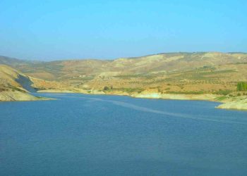 رحلة تنزه تنتهي بكارثة لعشريني في سد وادي العرب