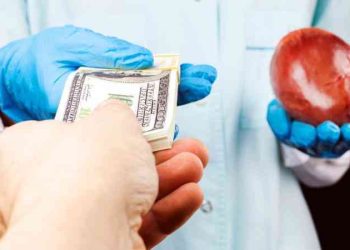 الحبس لشاب أقنع آخر ببيع كليته بـ10 آلاف دينار