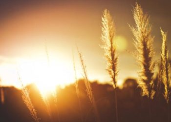 طقس دافئ حتى الثلاثاء في أغلب مناطق الاردن