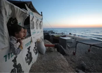 226 يوما على العدوان.. إصرار على التمسك بالأرض رغم مجازر الاحتلال