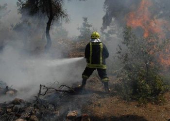 الدفاع المدني يتعامل مع حريق حرجي كبير في اربد