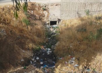 بركة الروائح تستفز سكان منطقة بسمان.. القصة الكاملة