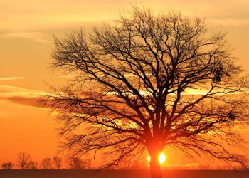 كتلة هوائية حارة يبدأ تأثيرها على الاردن يوم السبت وتتزايد أيام الأسبوع المقبل