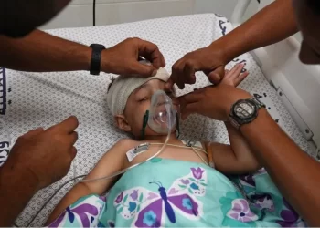 260 يوما على العدوان .. مجازر جديدة في غزة والمقاومة تتصدى