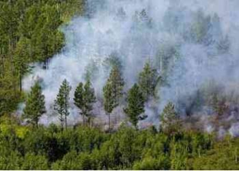 الدفاع المدني يحاول السيطرة على حريق كبير في عجلون