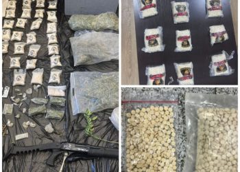 المكافحة تصطاد 20 هدفا (صور)