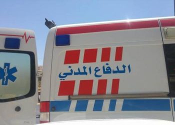 كلب ضال يعقر شابا في الرمثا وحالته الصحية جيدة