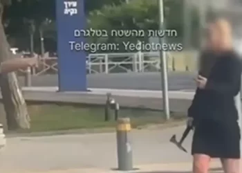 قتلته بوحشية.. إسرائيلية تتجول بفأس ملطخة بدماء طفلها