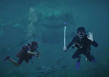 العثور على كوكايين في أنسجة أسماك قرش قبالة البرازيل.. كيف “تعاطتها”؟