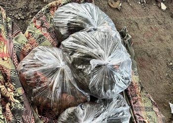 قتلتهم إسرائيل.. عائلات بغزة تتسلم أشلاء أبنائها في أكياس