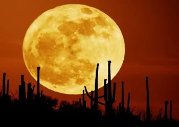 قمر الحصادين يضيء سماء المملكة والعالم العربي الأسبوع المقبل