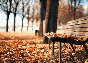 أجواء خريفية معتدلة في أغلب مناطق الاردن حتى الأربعاء