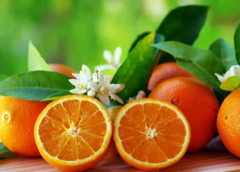 زيت البرتقال.. كنز من الفوائد الصحية والجمالية
