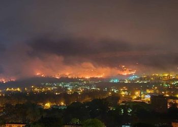 ثلث المستوطنين في شمال فلسطين لا يريدون العودة