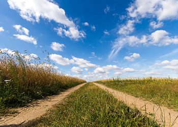 الحكومة تقرر تخفض أسعار الأراضي في مدينتي الحسين والطفيلة