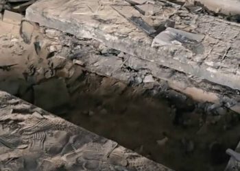 مجهولون ينبشون قبر حافظ الأسد وينقلون الرفاة إلى مكان مجهول