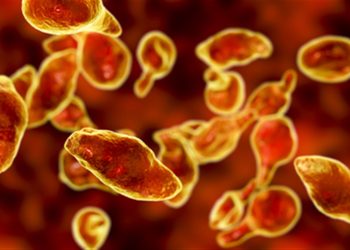 5 أنواع عدوى تنتقل اليكم عن طريقة العلاقة الحميمة!