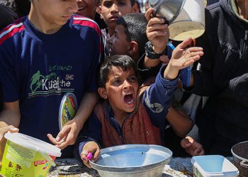 غزة.. 48 شهيدا و142 إصابة خلال الـ24 ساعة الماضية