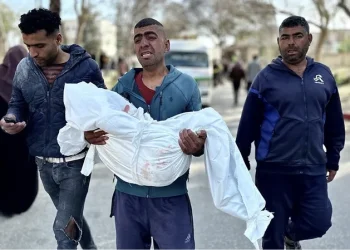 شهداء وجرحى في استمرار العدوان على غزة.. والمجاعة تنتشر على نطاق واسع