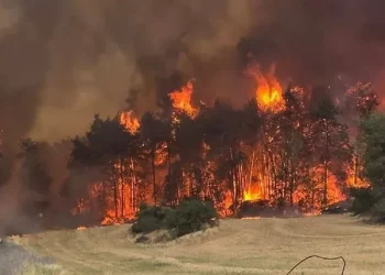 مئات الطائرات التي أحرقت غزة عاجز عن إطفاء الحرائق