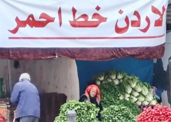 شيخه فاطمة شرينها ينبض بحب الاردن