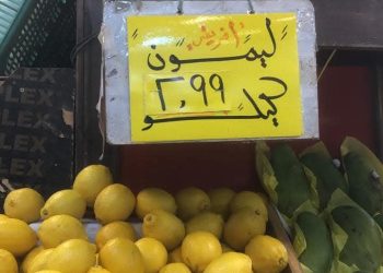الليمون في الأردن يخترق حاجز الـ ٣ دنانير