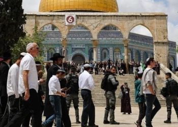 تصعيد غير مسبوق.. مستوطنون يقتحمون الأقصى حاملين خمرا ودماء